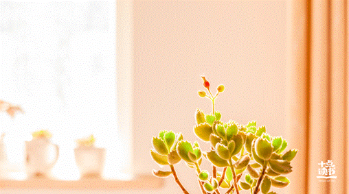 優秀的人，早已不再假裝合群(上)