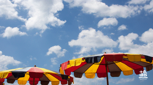 優秀的人，早已不再假裝合群(中)